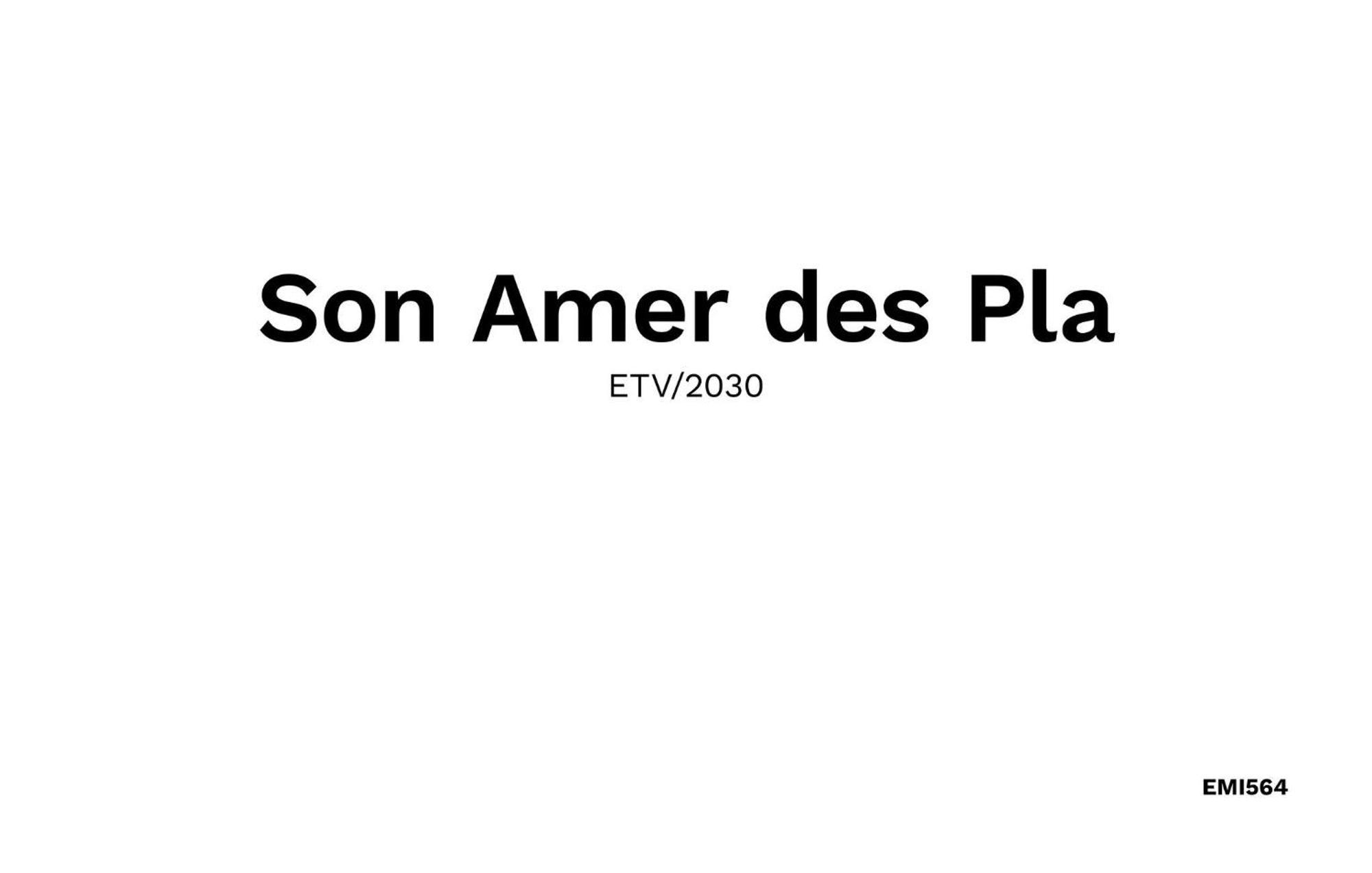 Ferienhaus Son Amer Des Pla